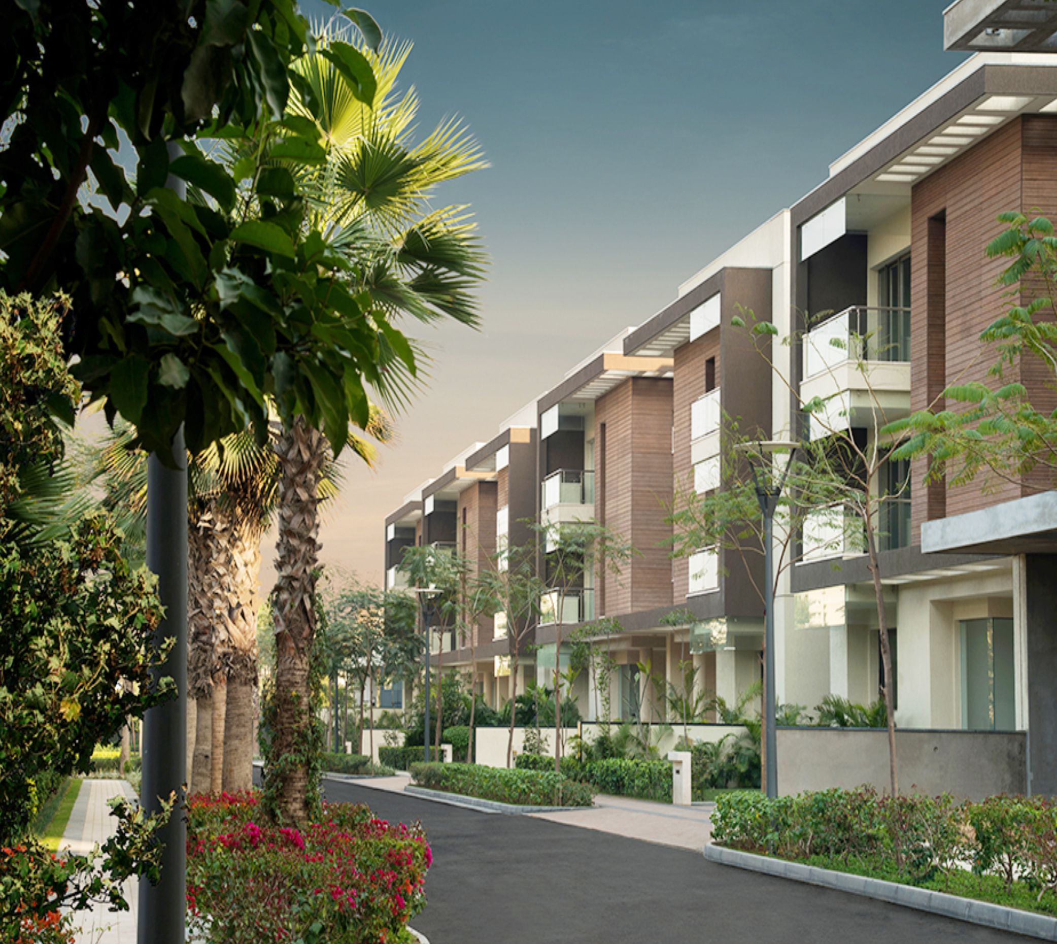 Signature Collection