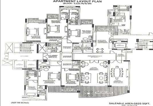 dlf magnolias clubhouse