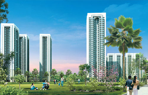 dlf camellias flat price