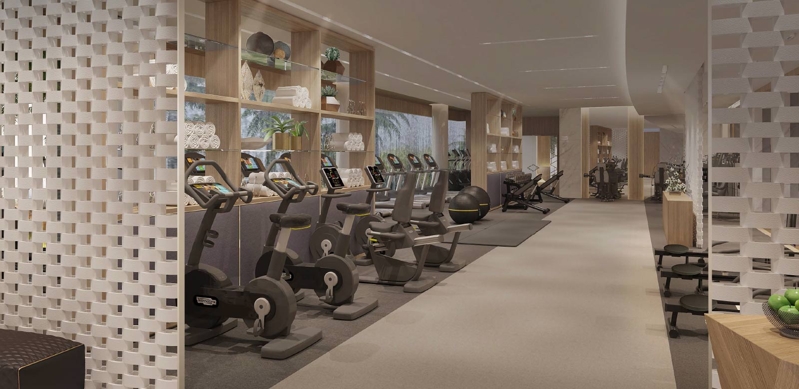 Gym Area in DLF The Crest