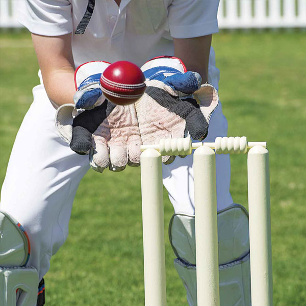 Central Park Flamingo Floors cricket academy