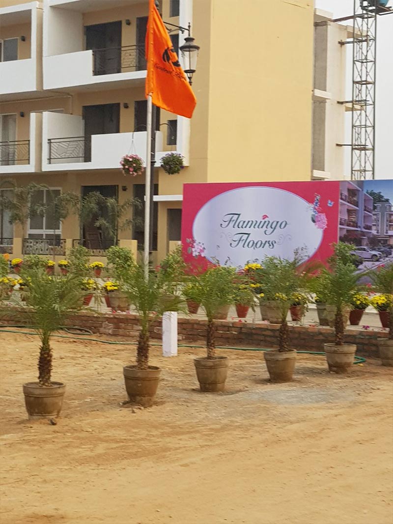 Central Park Flamingo Floors exterior