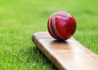 Ild GSR Drive Cricket Pitch