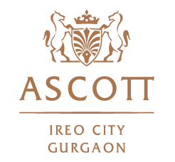 Ireo Ascott