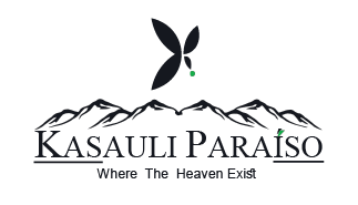 Kasauli Paraiso