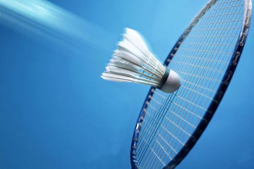 Raheja Vanya Badminton Court