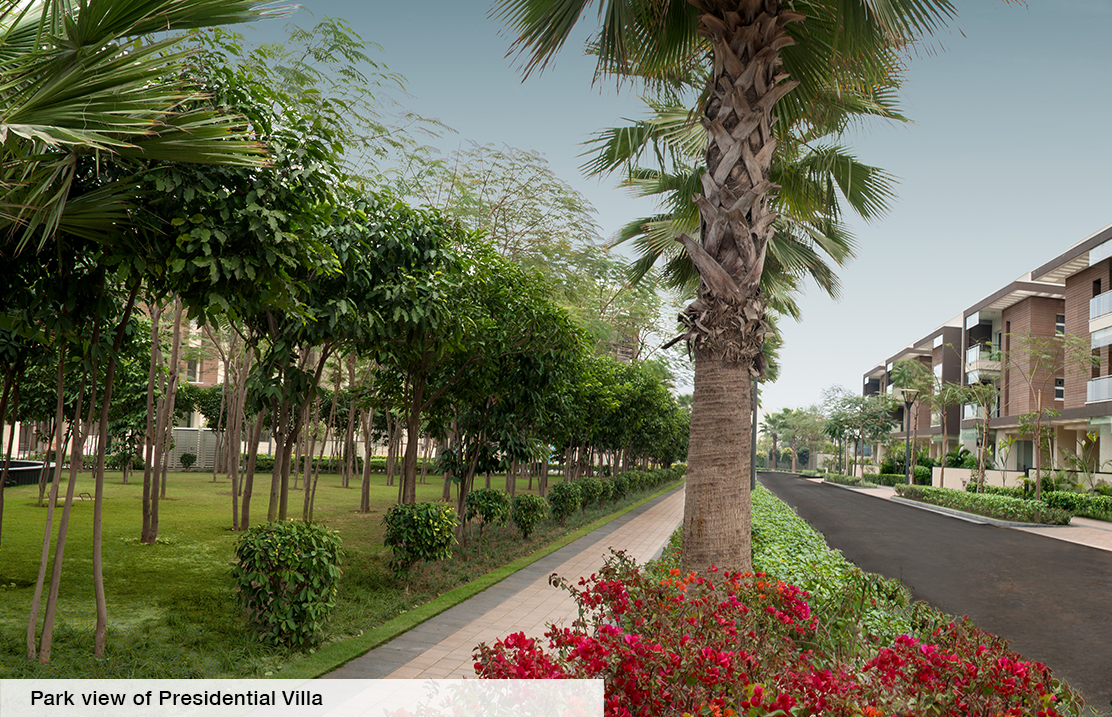 sobha international city villas