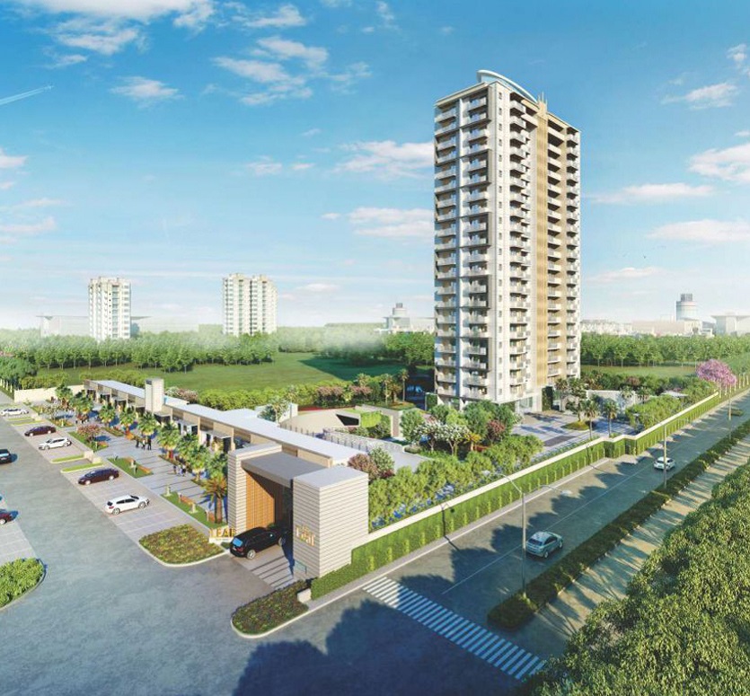 Tulip leaf amenities