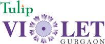 Tulip Violet Logo